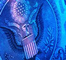 Dollar Bill